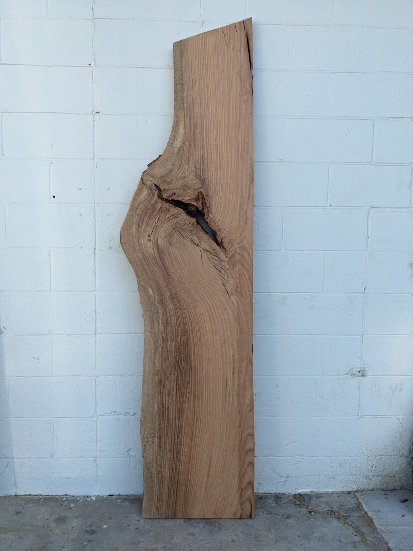 Red Oak  RO43