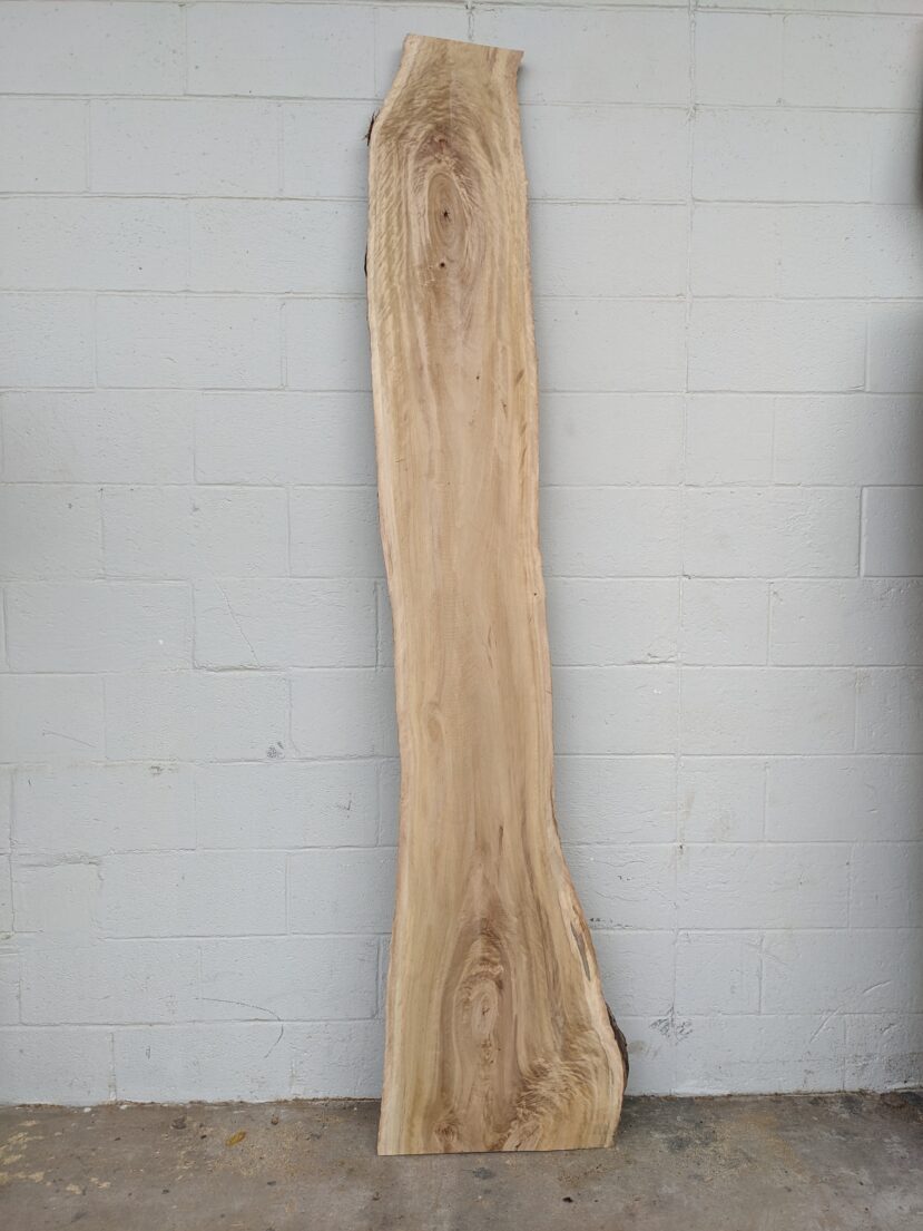 Cottonwood  C106