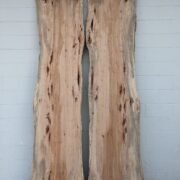 Pecan  P316 - Image 2
