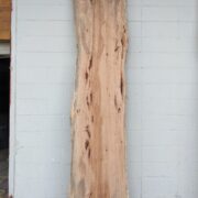 Pecan  P316