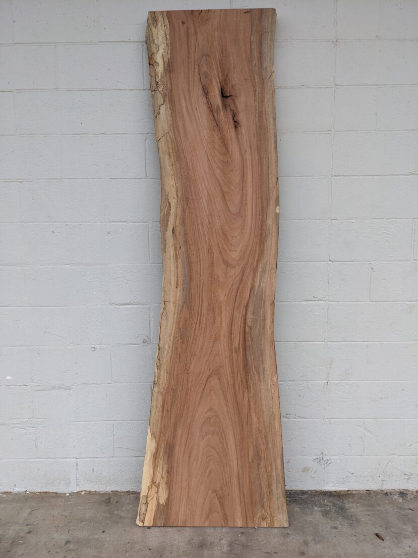 Pecan  P331