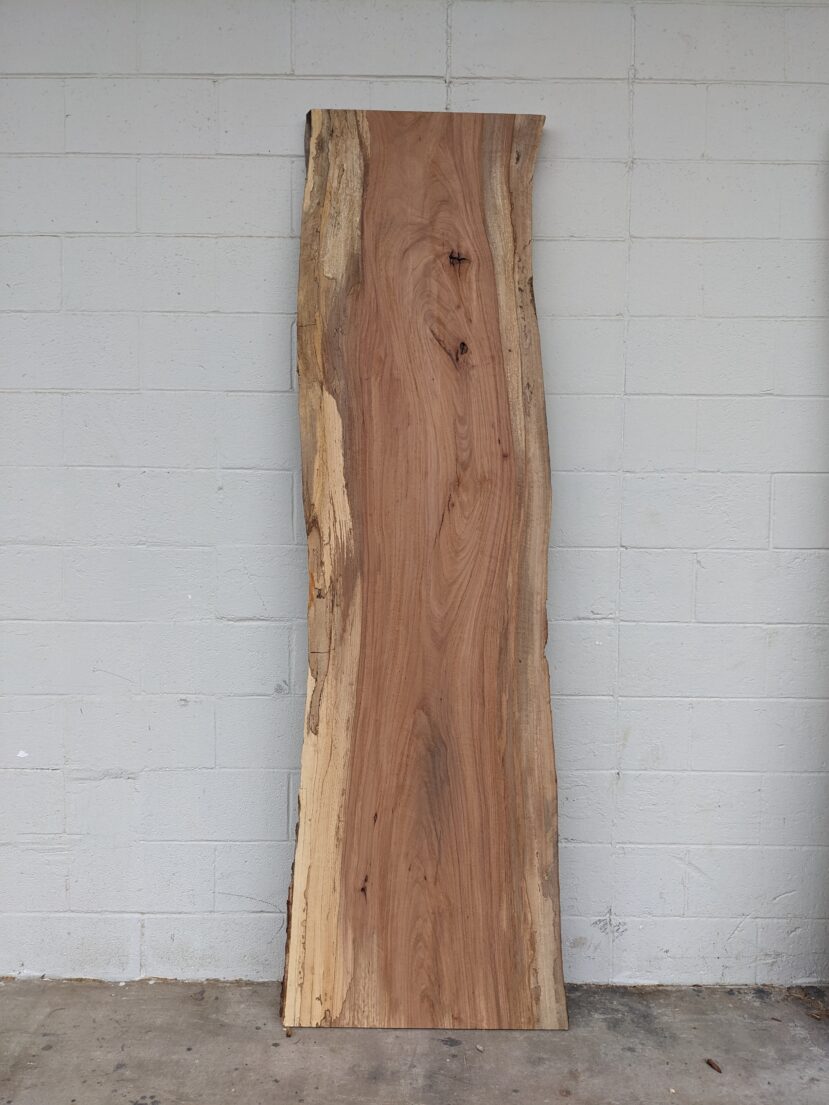 Pecan  P332