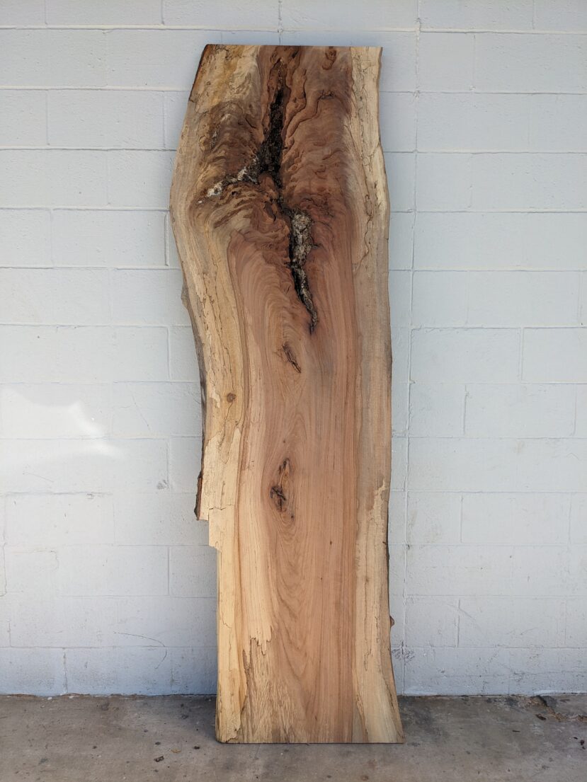Pecan  P334