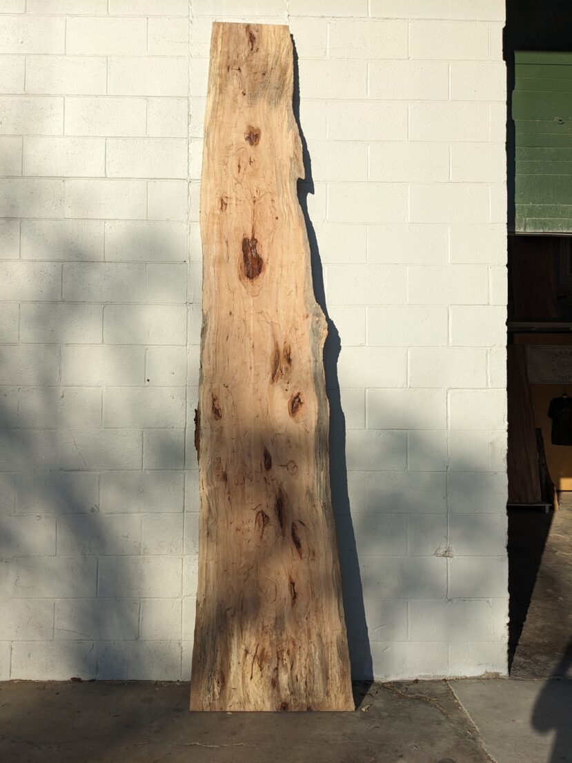 Pecan  P315