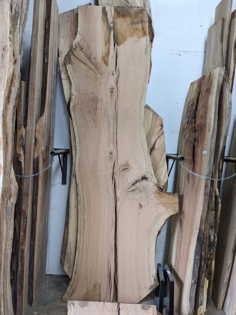 Red Oak  RO44