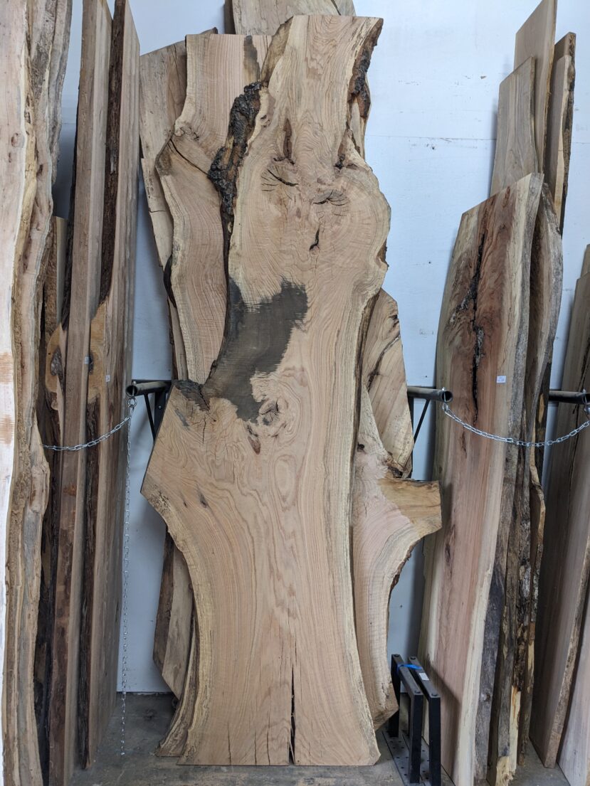 Red Oak  RO45