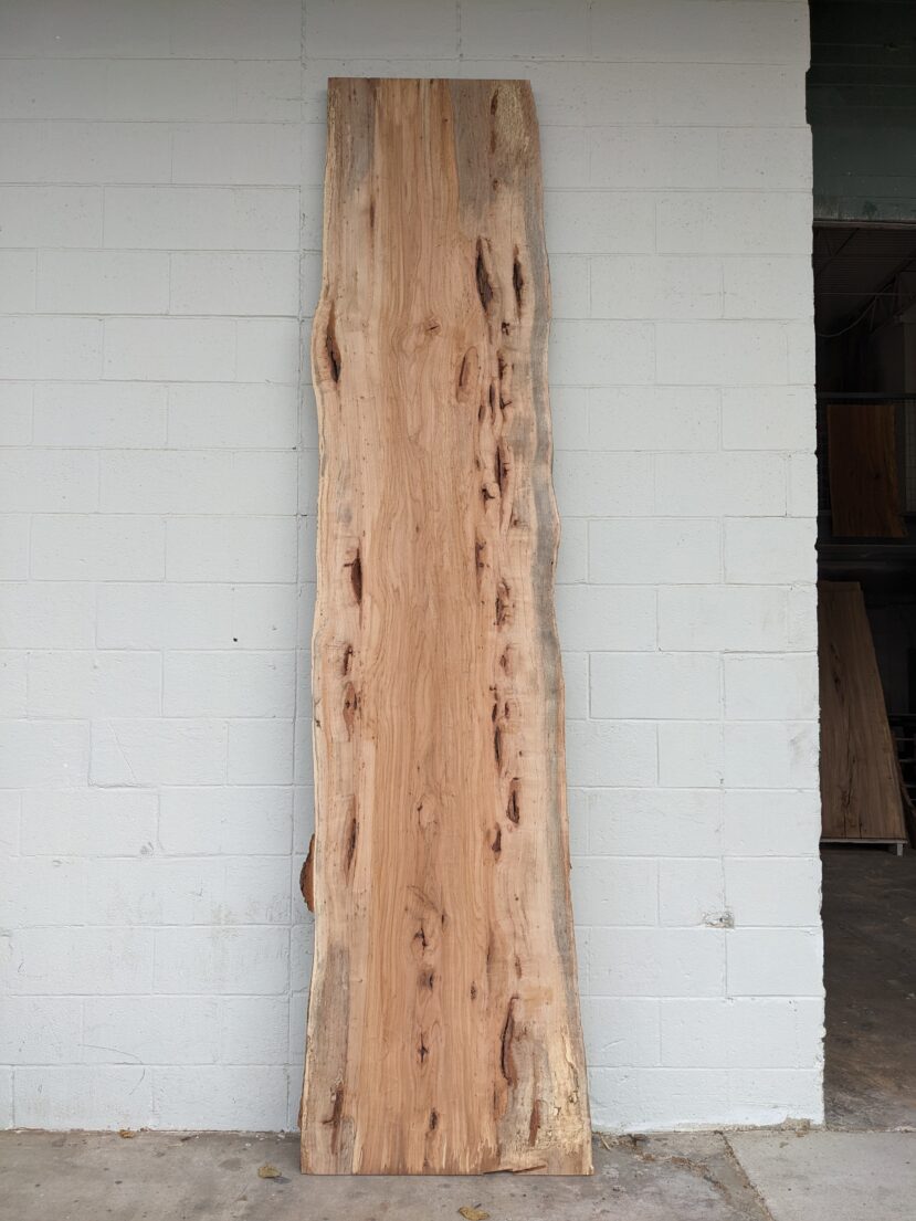 Pecan  P318