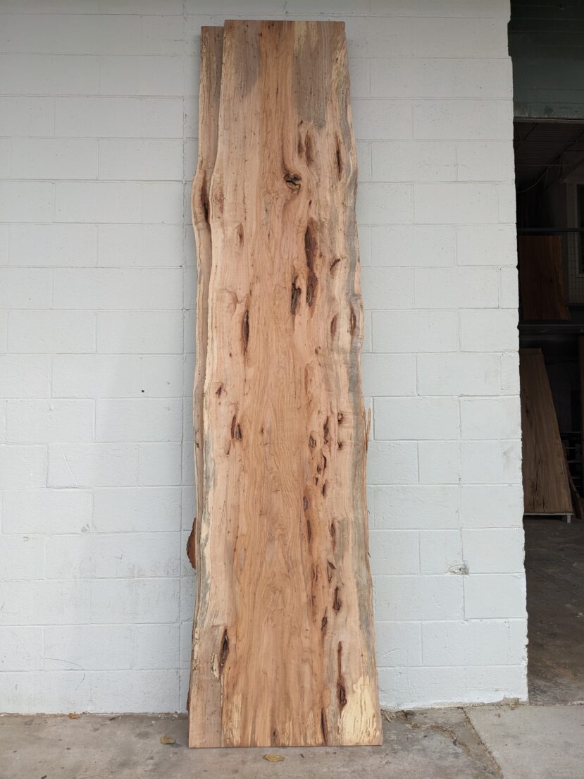 Pecan  P319