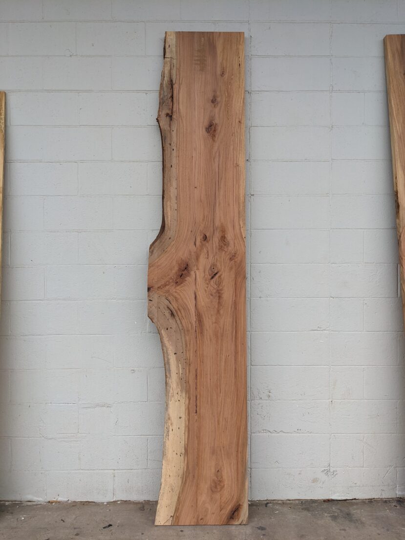 Pecan  P338