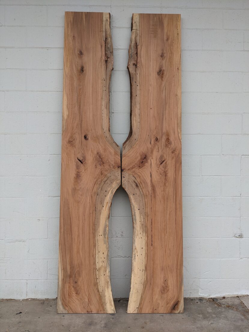 Pecan  P338 - Image 3