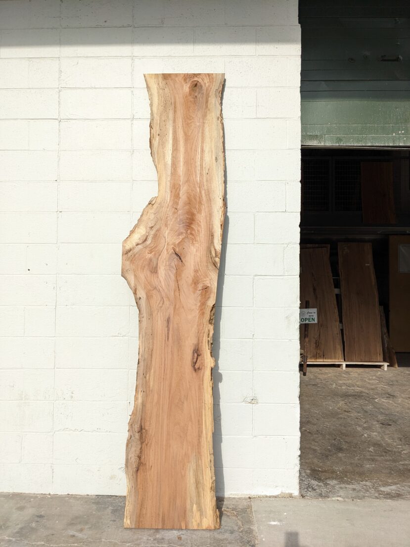 Pecan  P339