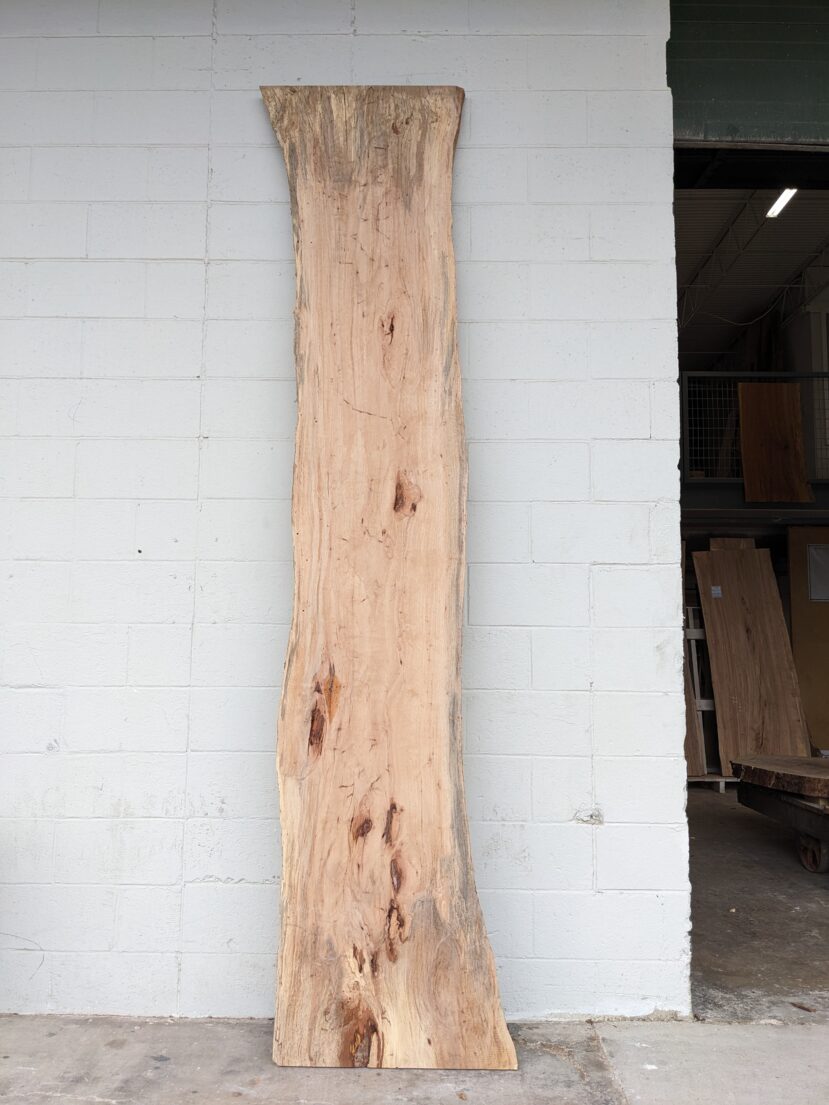 Pecan  P314