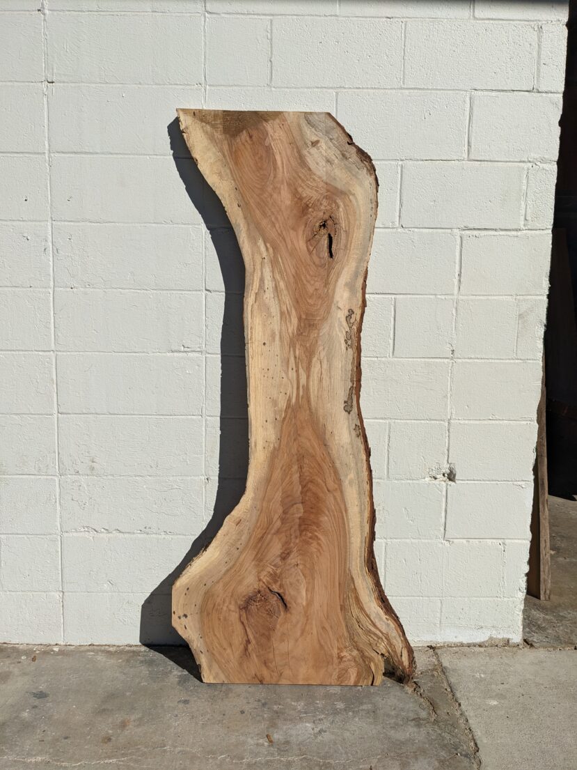 Pecan  P341