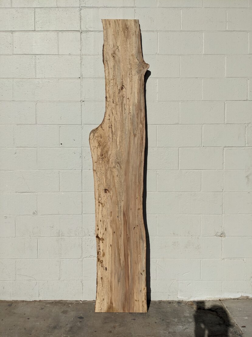 Pecan  P343