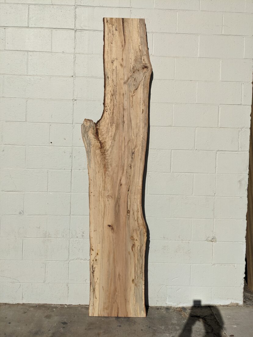 Pecan  P344