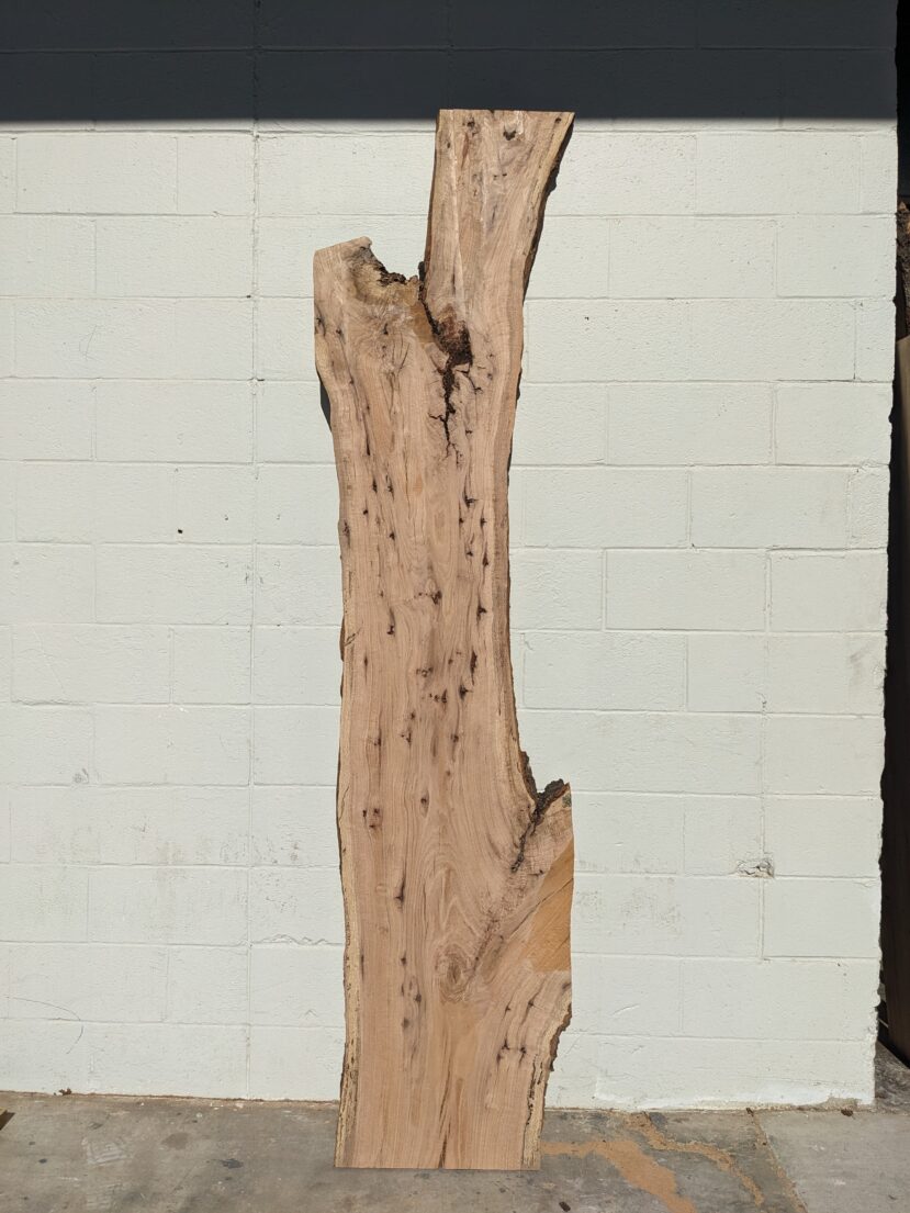 Red Oak  RO47