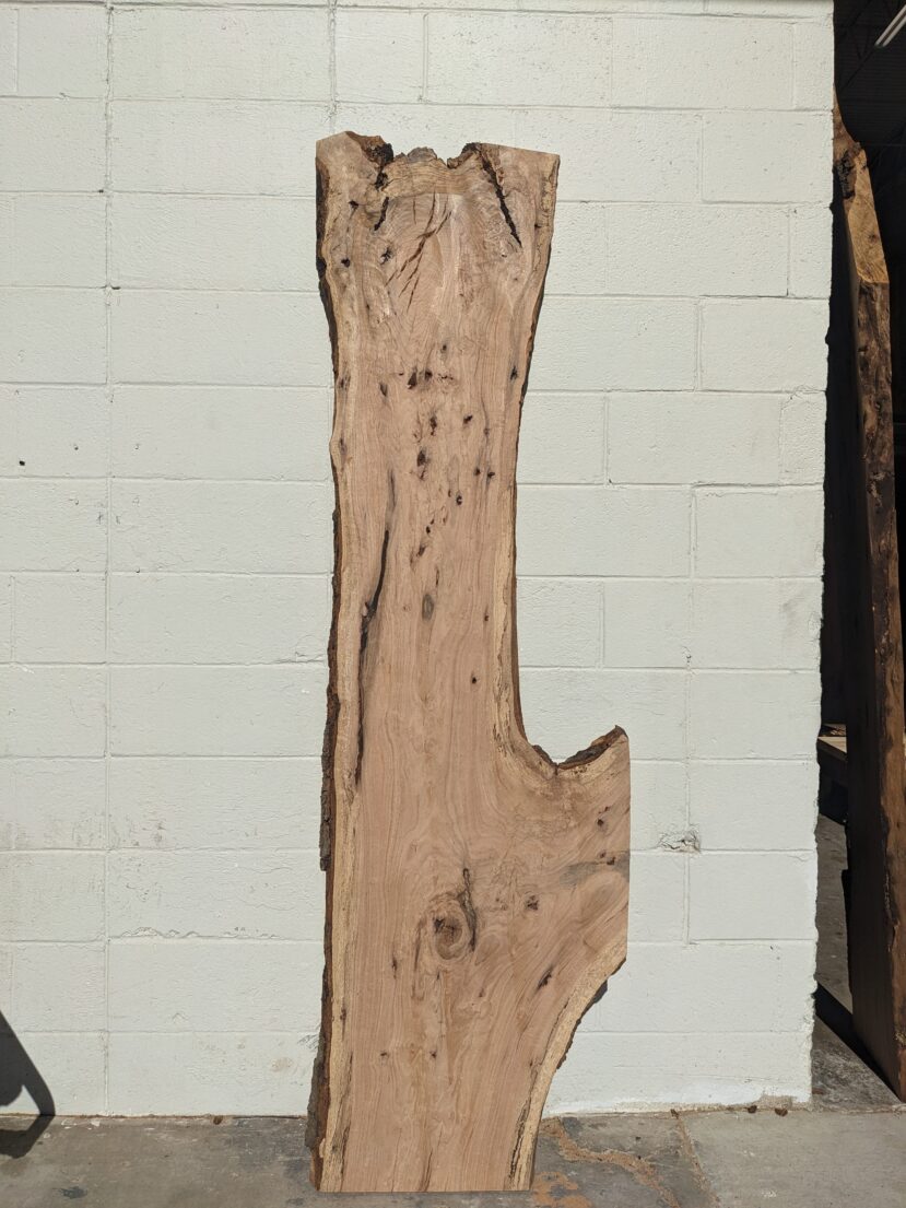 Red Oak  RO48