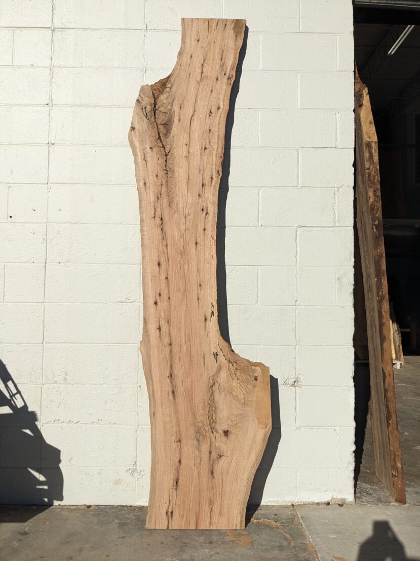 Red Oak  RO49