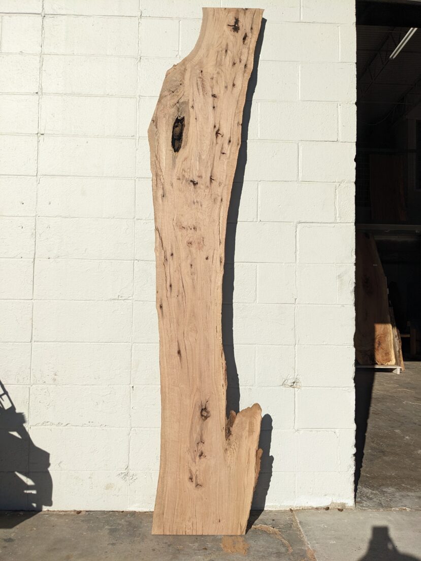 Red Oak  RO50