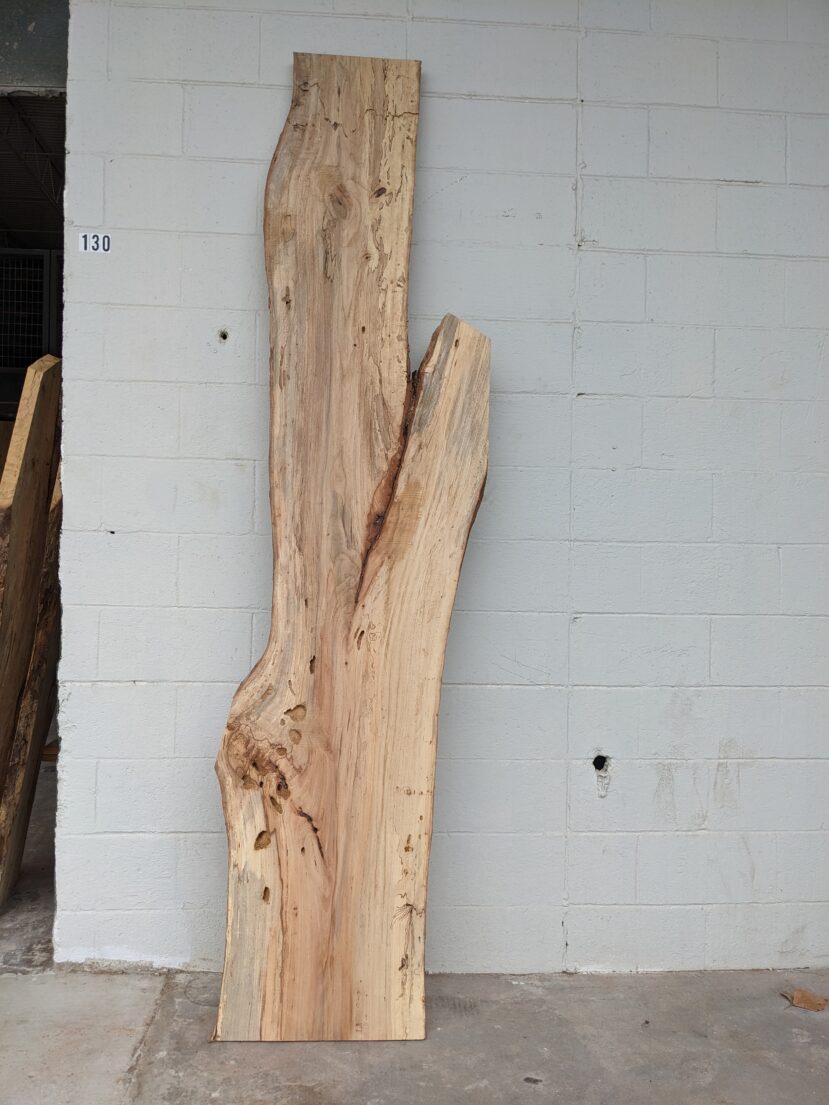 Pecan  P345
