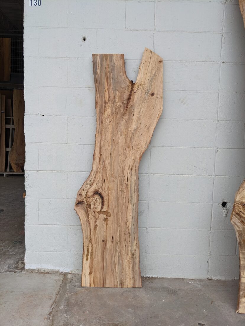 Pecan  P347