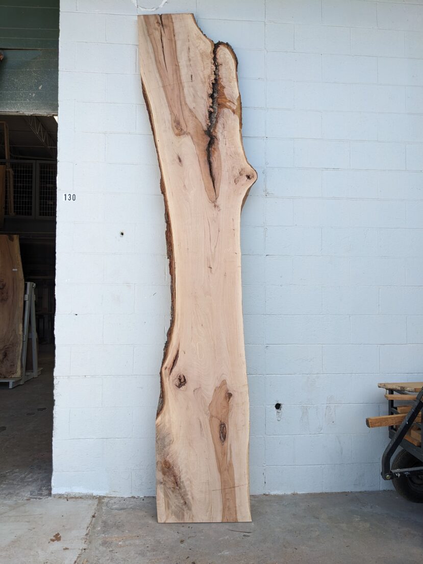 Pecan  P348