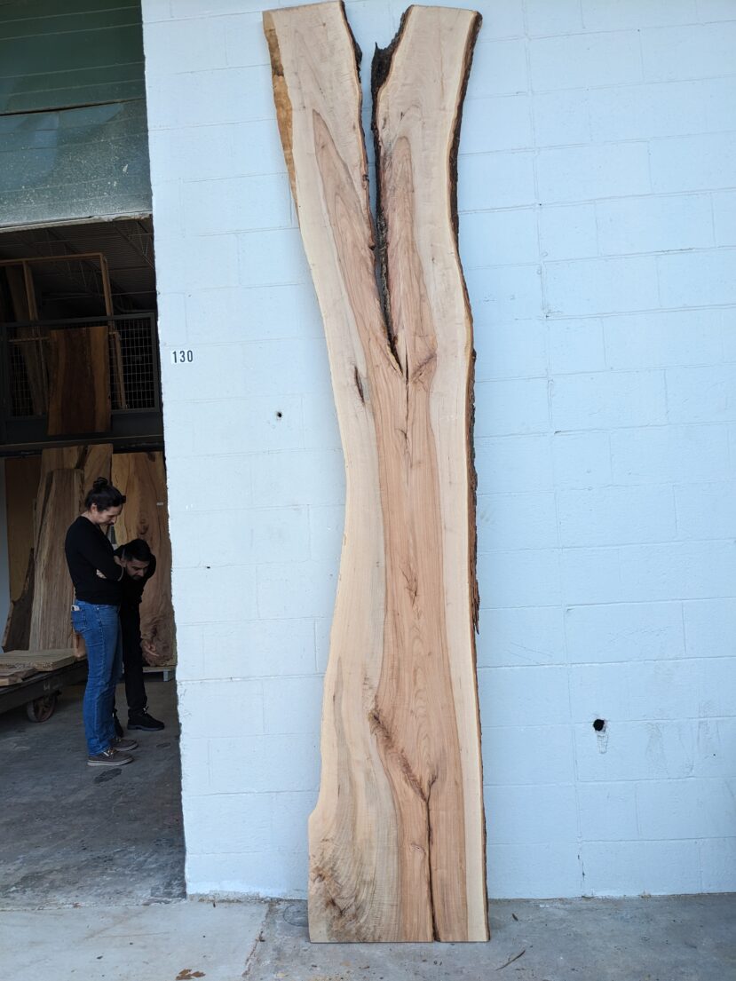 Pecan  P350