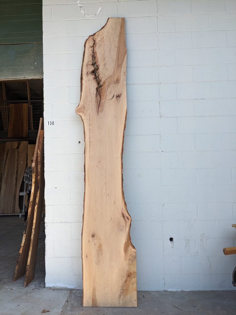 Pecan  P351