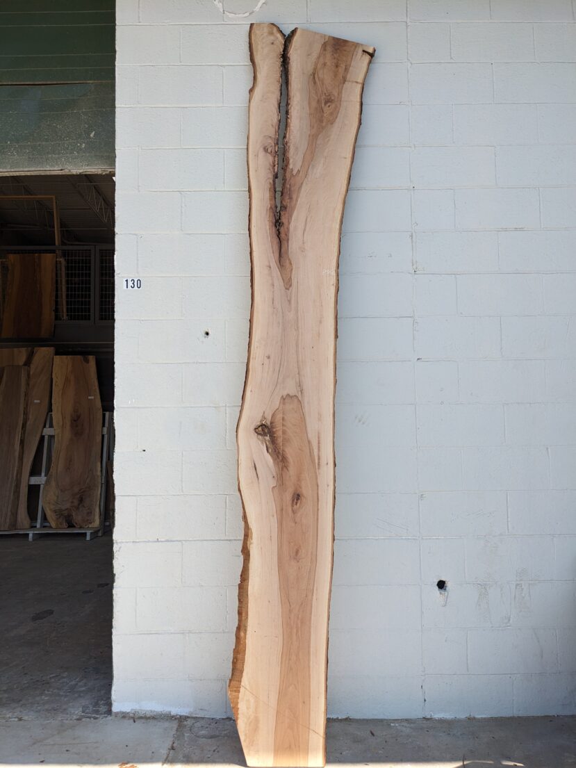 Pecan  P352