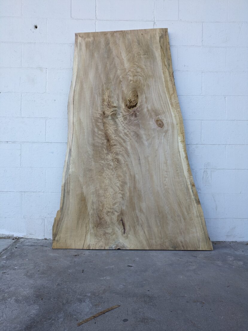 Cottonwood  C111