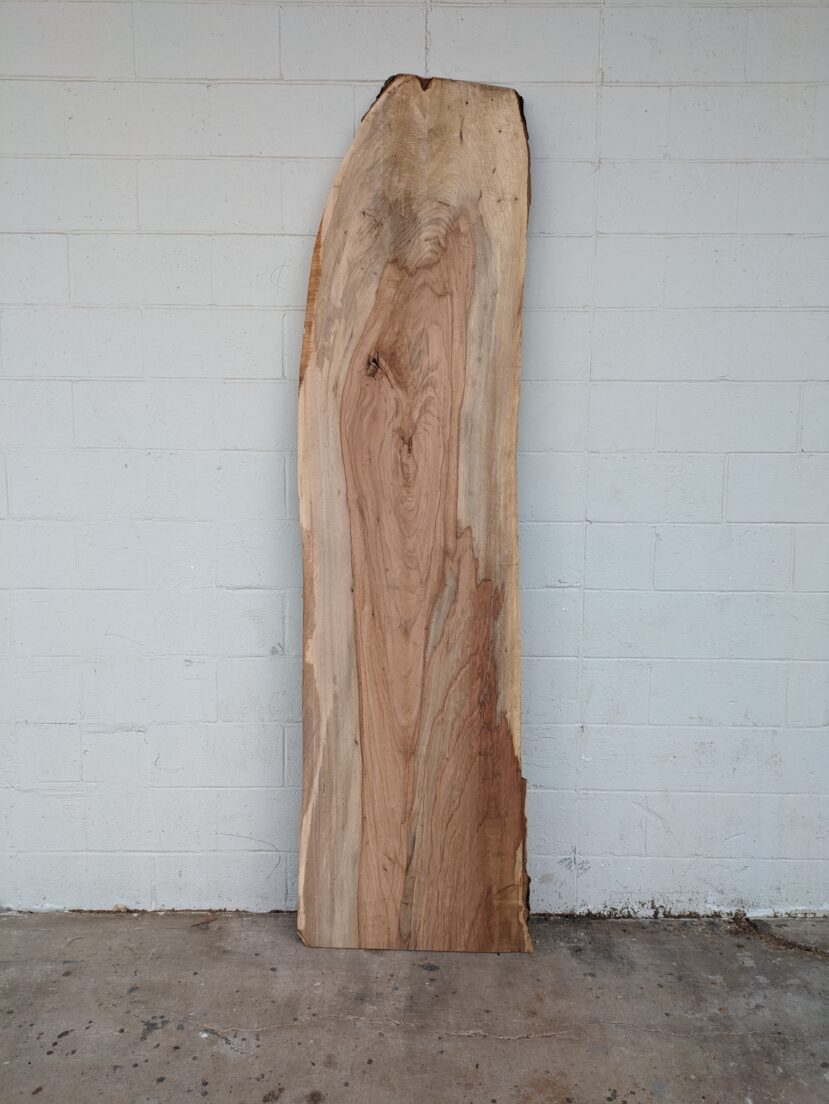 Pecan  P353