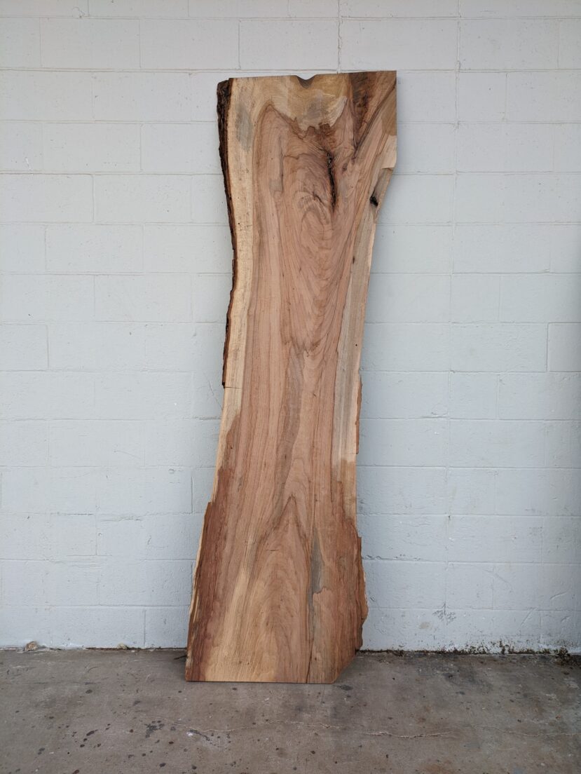 Pecan  P354