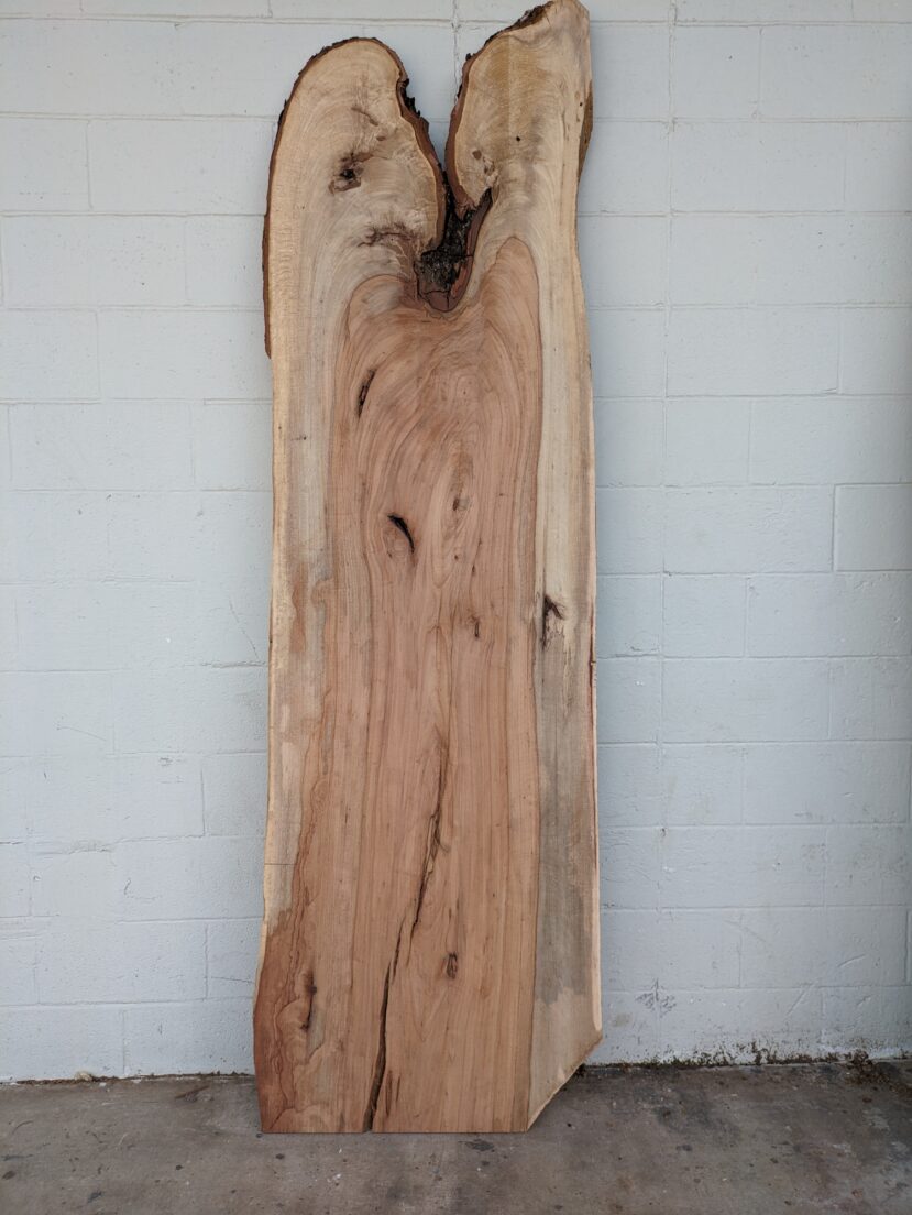 Pecan  P356