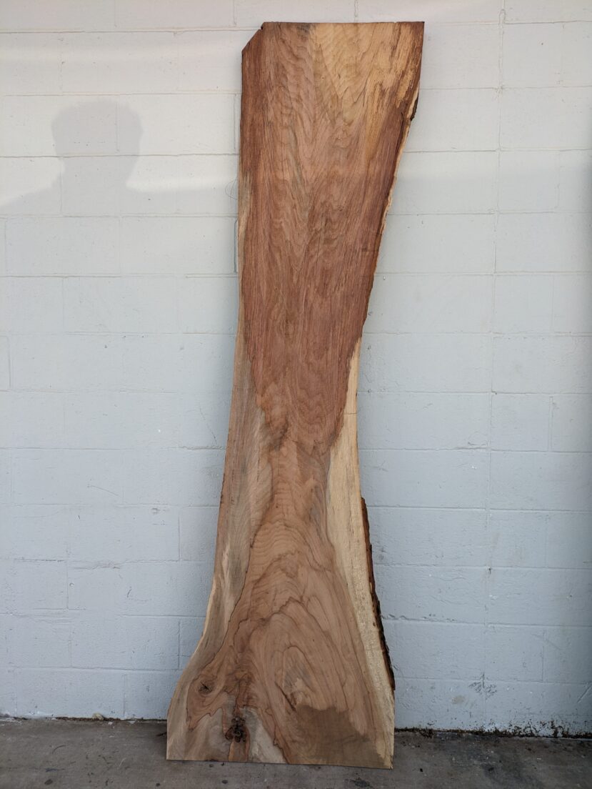 Pecan  P358