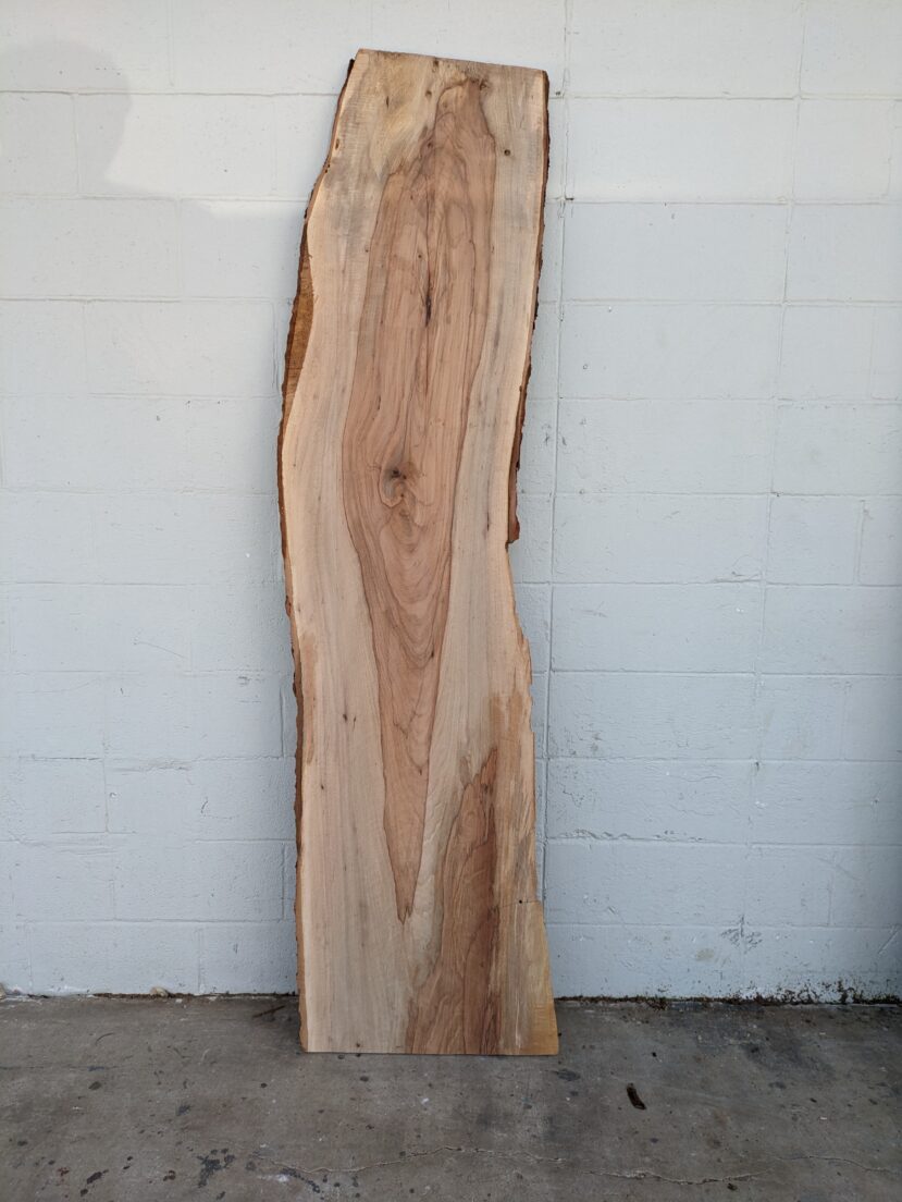 Pecan  P360