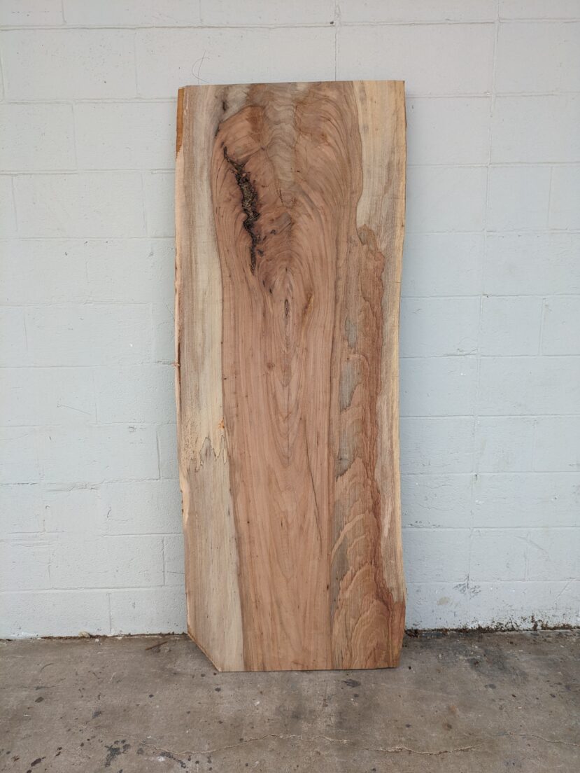 Pecan  P361