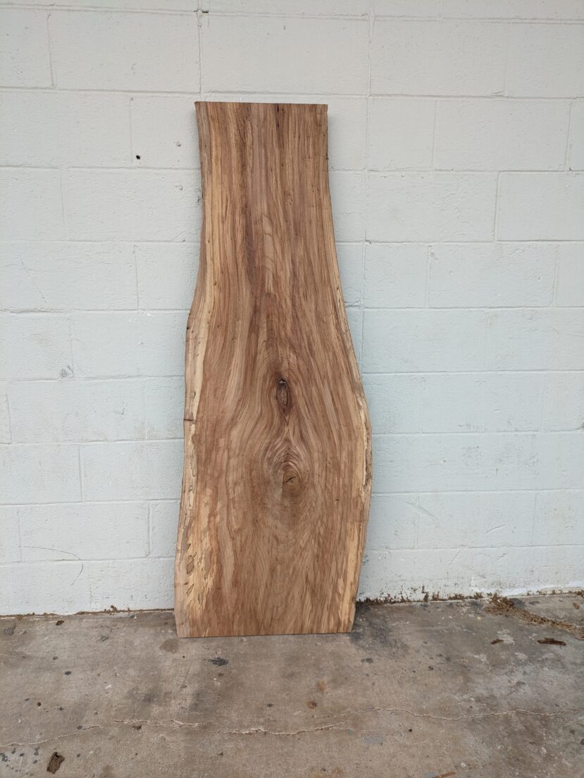 American Elm AE170