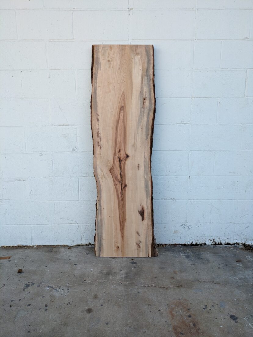 Pecan  P362