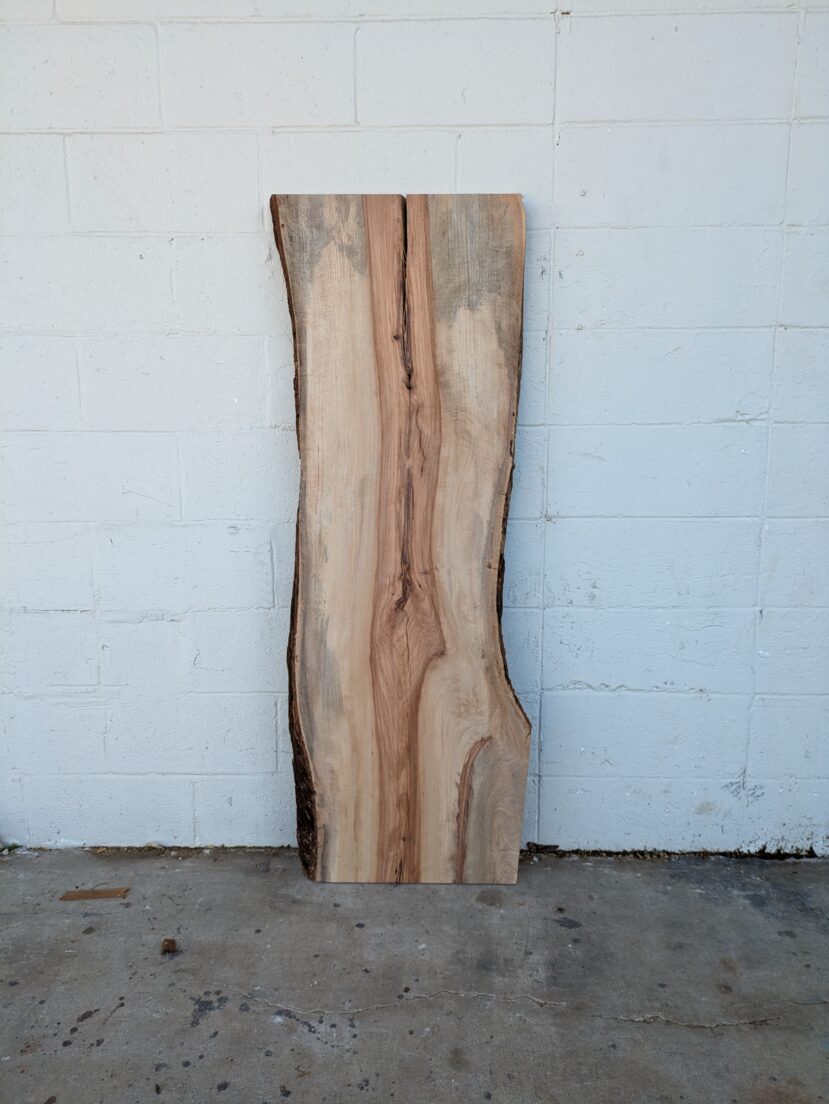 Pecan  P363