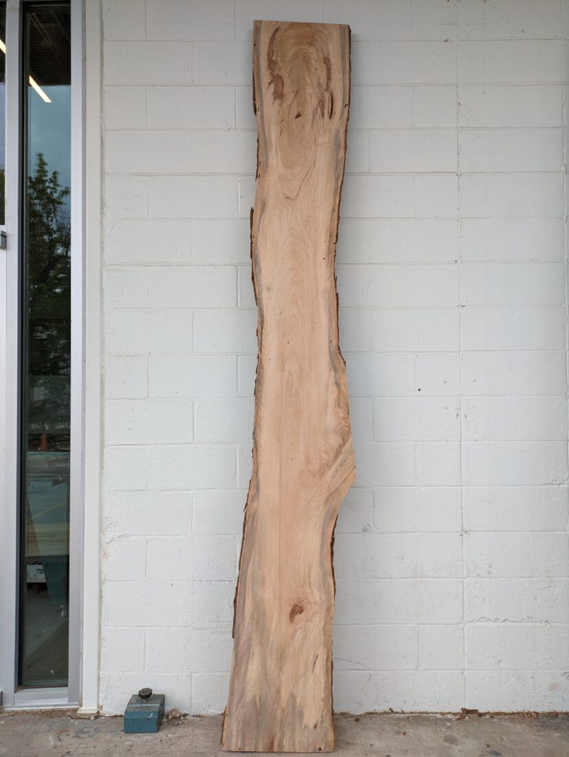 Pecan  P367