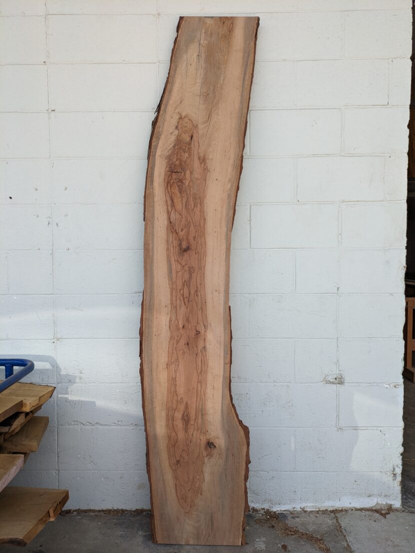 Pecan  P364