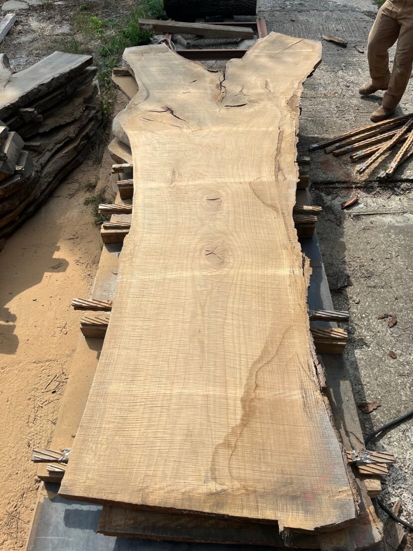 Red Oak  RO56