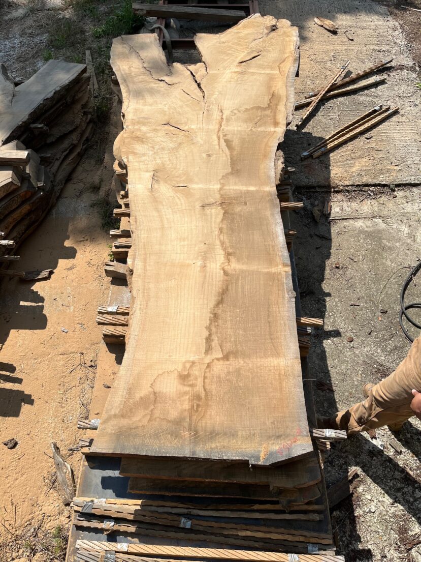 Red Oak  RO57