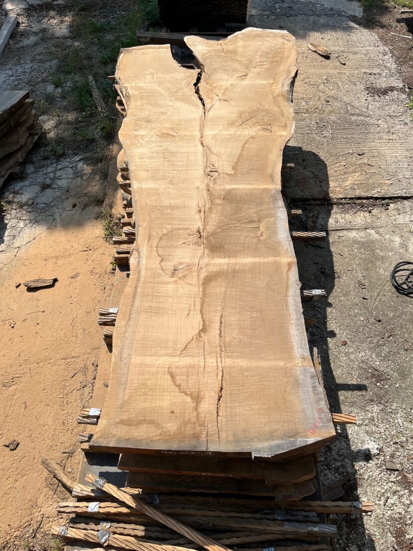 Red Oak  RO58