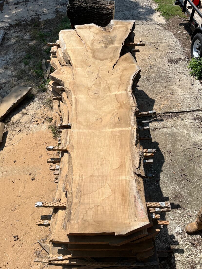 Red Oak  RO60
