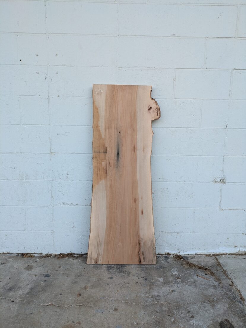 Sycamore S42