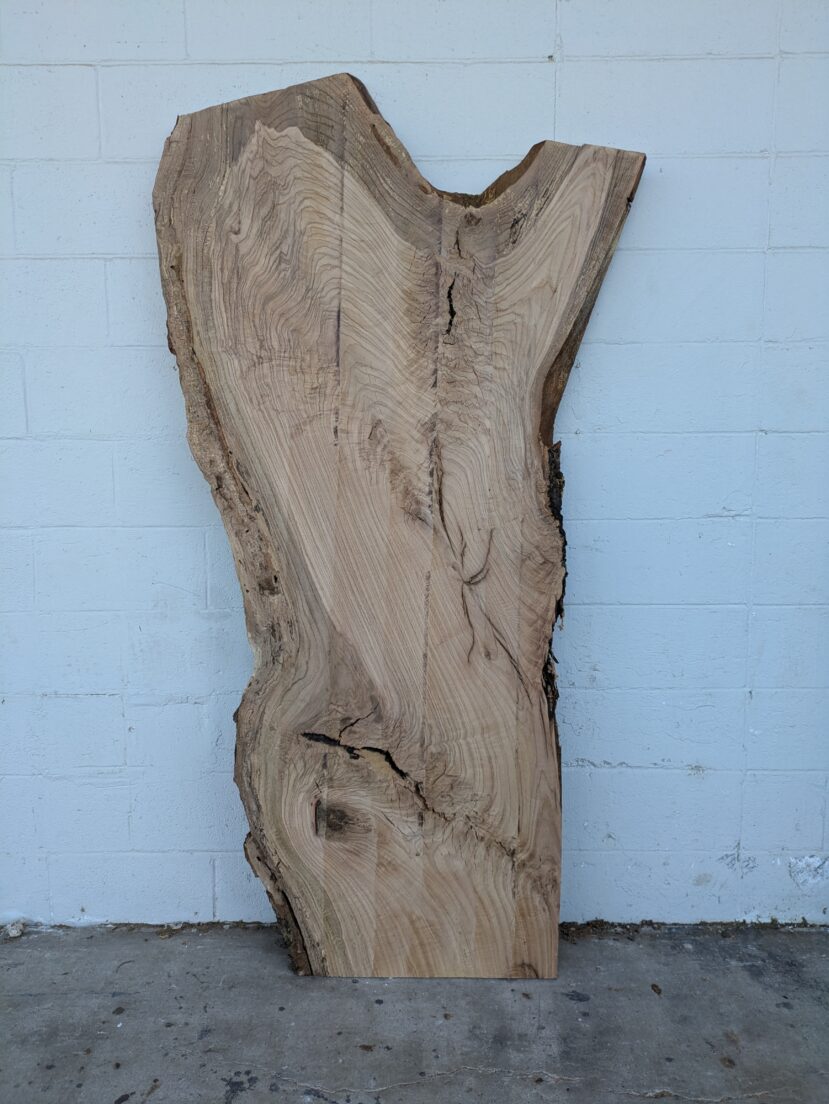 Red Oak  RO53