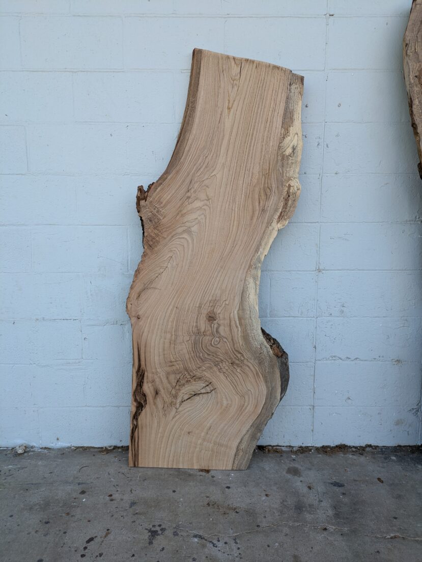 Red Oak  RO54