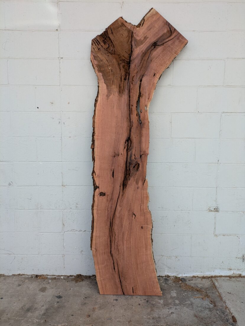 Mesquite  M55