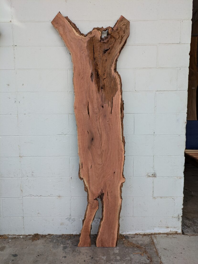 Mesquite  M57